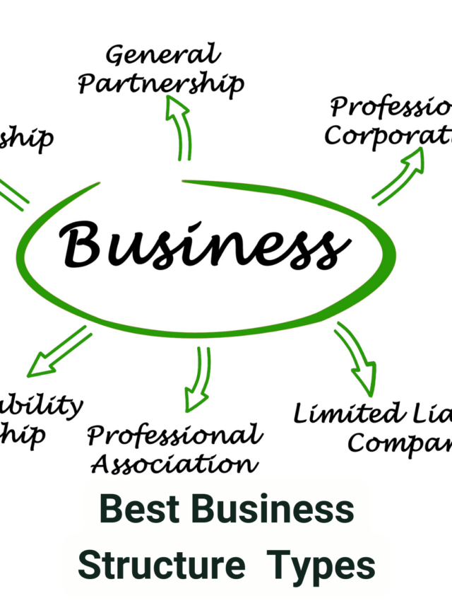 Choosing the Best Business Structure for Your Startup Success!